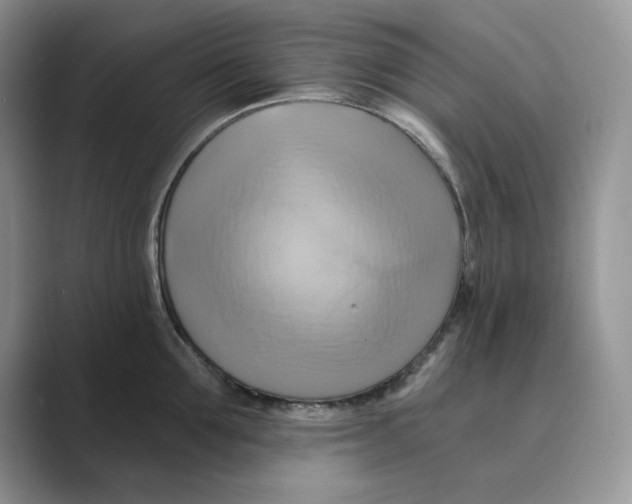 X0000088860907200707061048