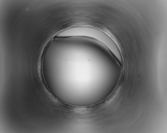 X0000088860909200707061048