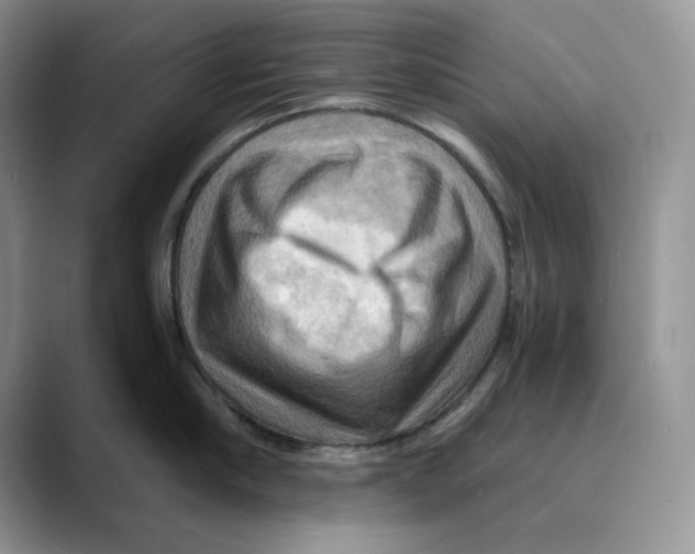 X0000088860910200707061048