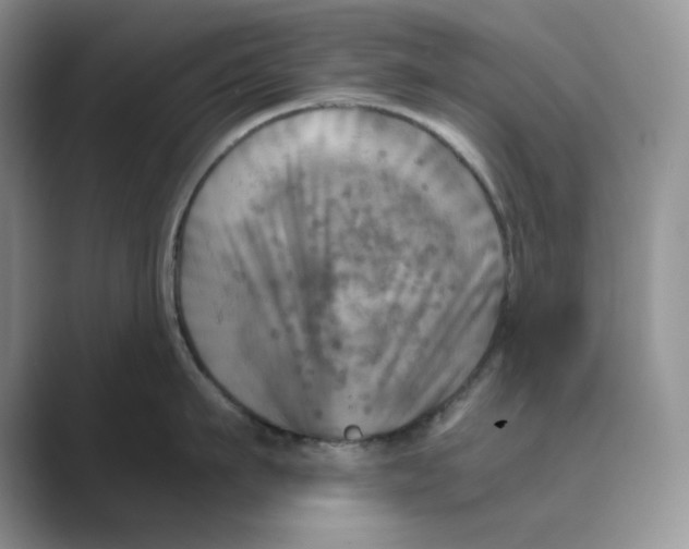 X0000088860911200707061048