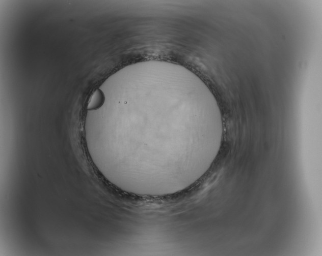 X0000088860913200707061048