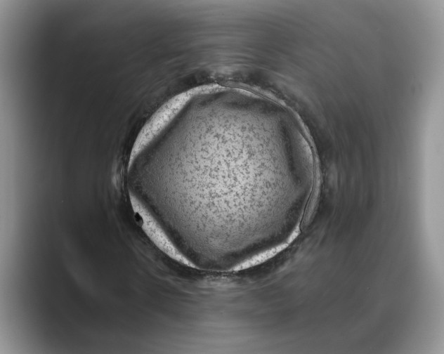 X0000088860914200707061048