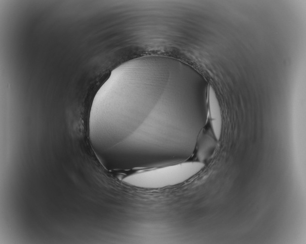 X0000088860916200707061048