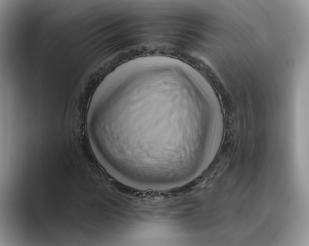 X0000088860919200707061048