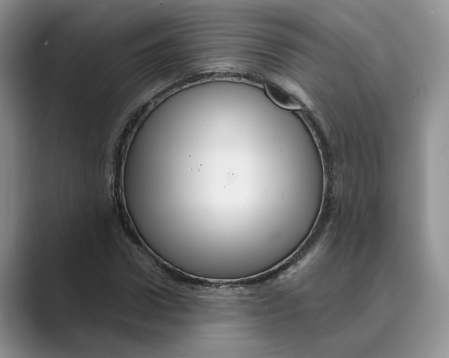 X0000088860922200707061048