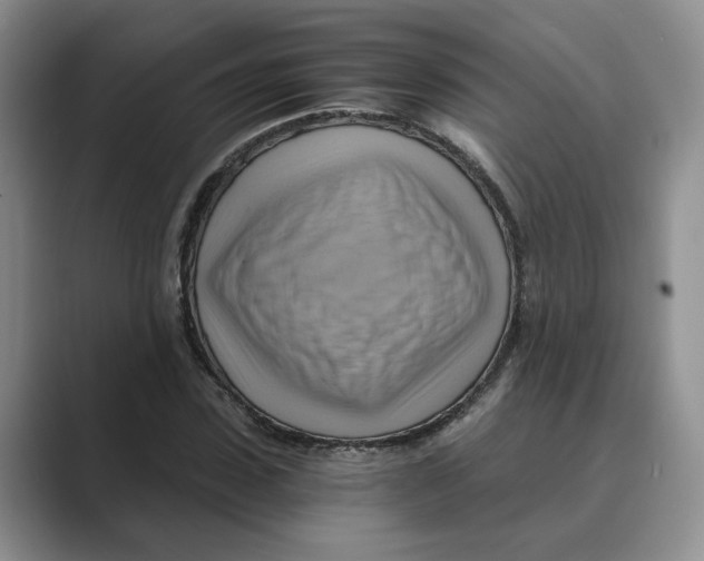 X0000088860923200707061048