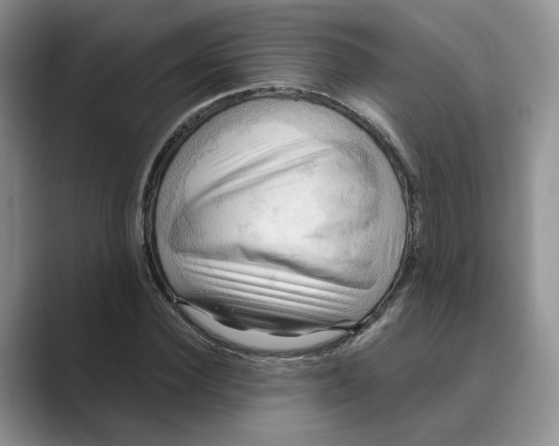 X0000088860924200707061048