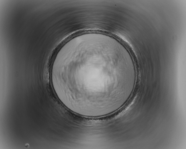 X0000088860925200707061048