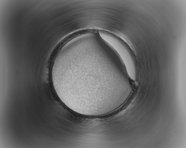 X0000088860926200707061048