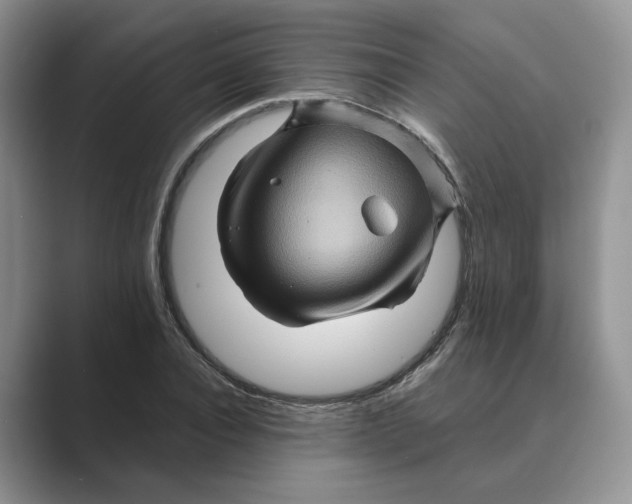 X0000088860928200707061048