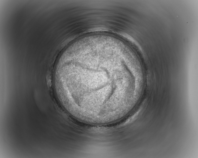 X0000088860929200707061048