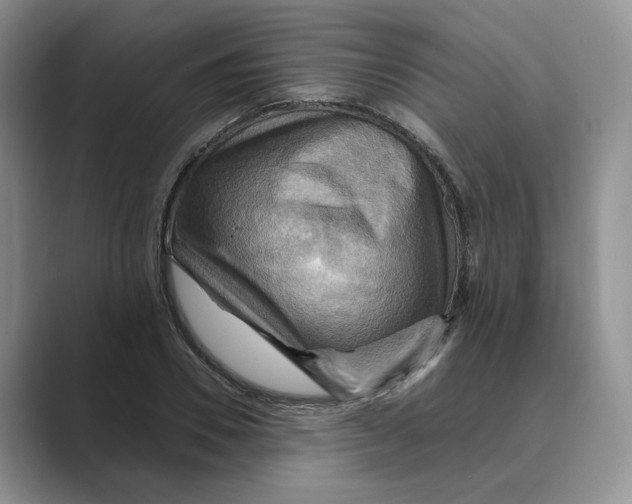 X0000088860930200707061048