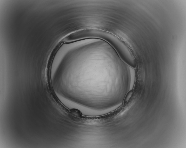 X0000088860932200707061048