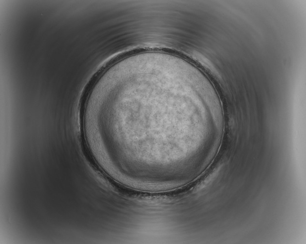 X0000088860934200707061048