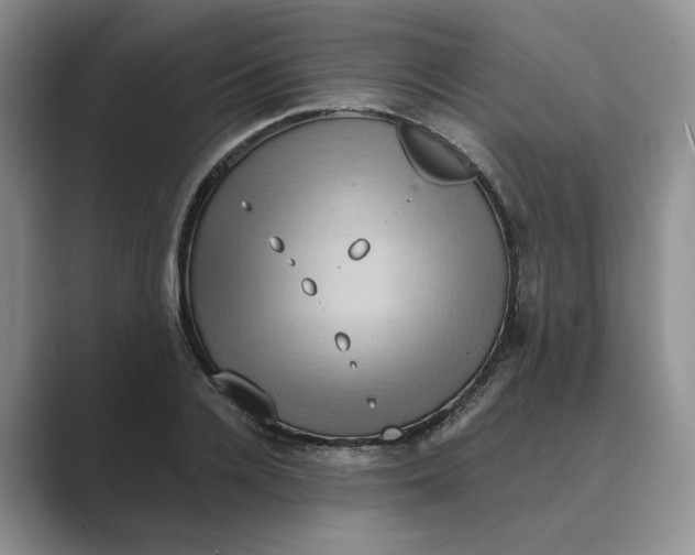 X0000088860936200707061048