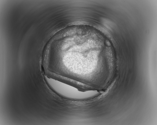 X0000088860937200707061048