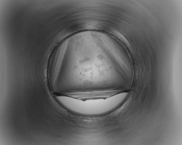 X0000088860938200707061048