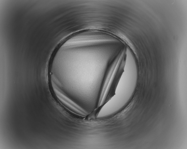 X0000088860939200707061048