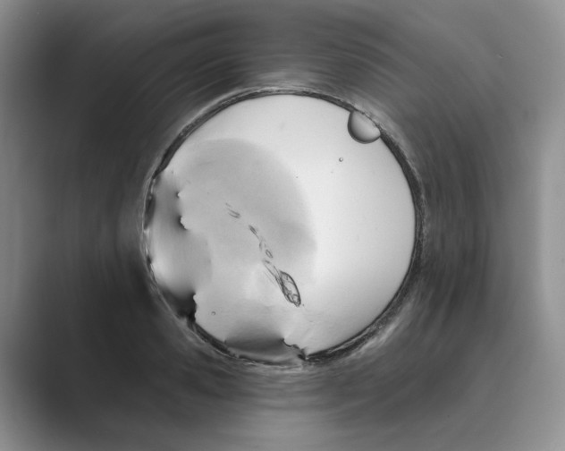 X0000088860941200707061048