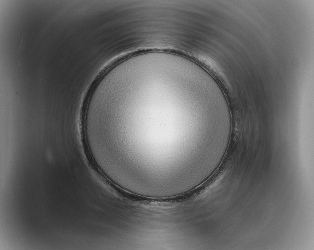 X0000088860942200707061048