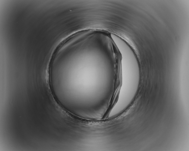 X0000088860944200707061048