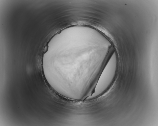 X0000088860945200707061048