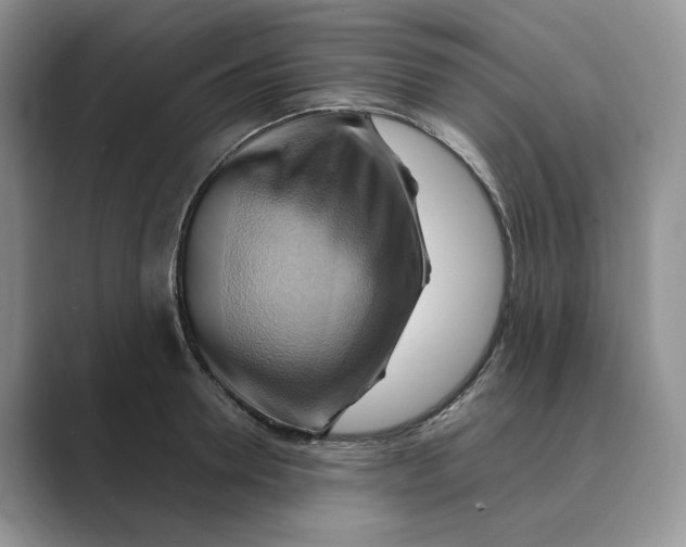 X0000088860946200707061048