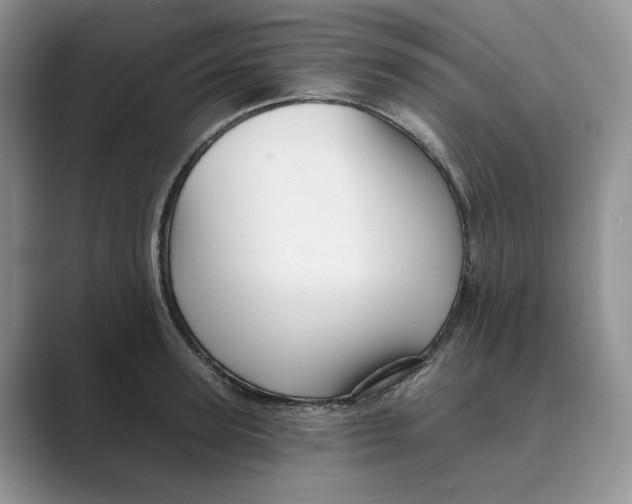 X0000088860947200707061048