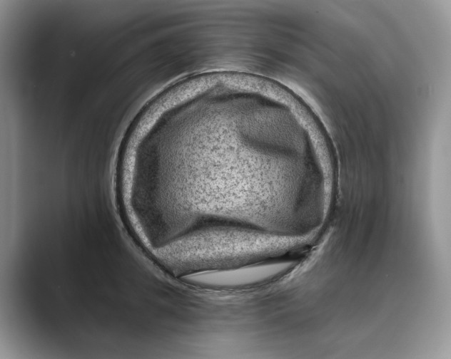 X0000088860949200707061048