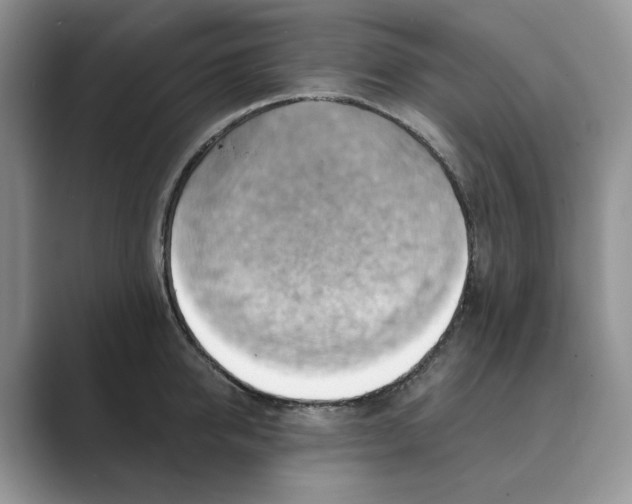 X0000088860950200707061048