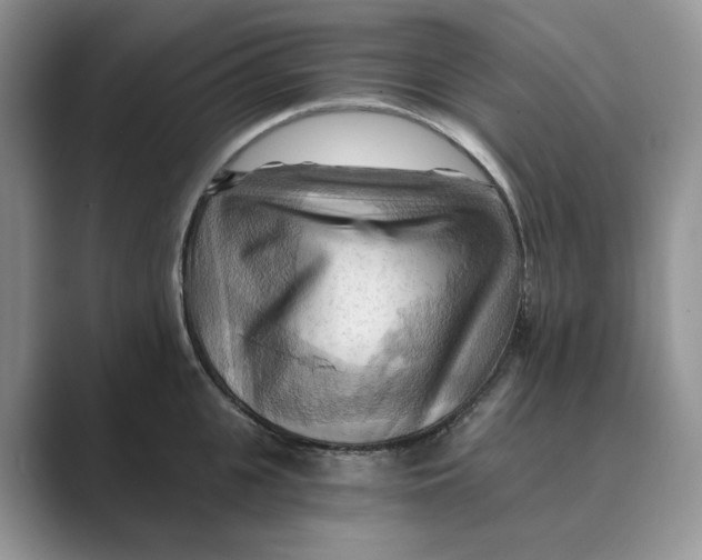 X0000088860951200707061048