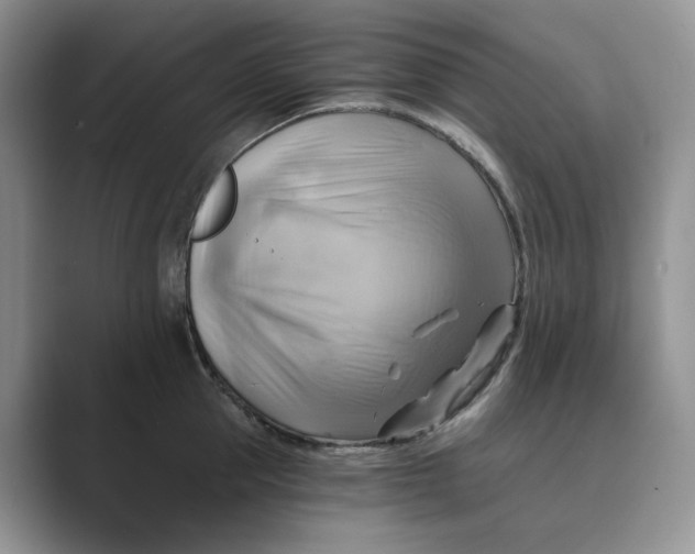 X0000088860953200707061048