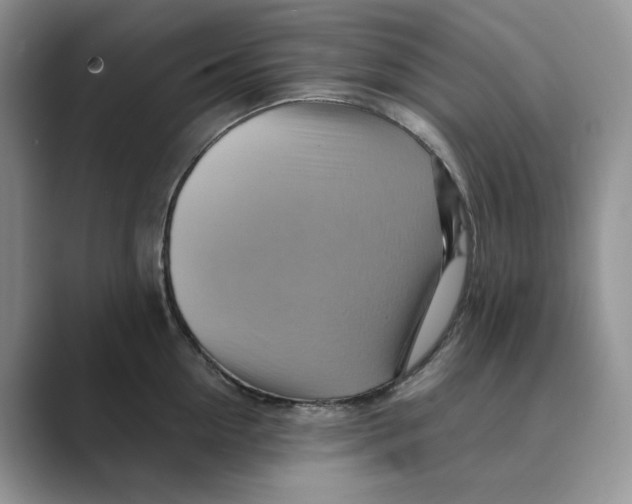 X0000088860954200707061048