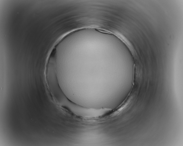 X0000088860956200707061048