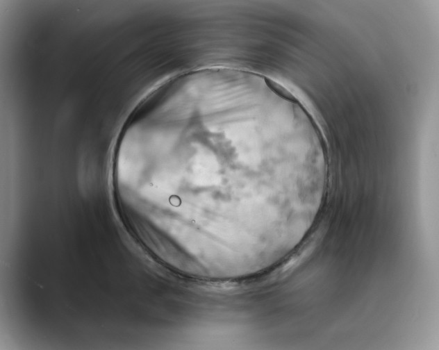 X0000088860957200707061048