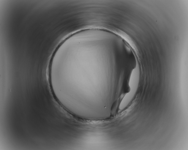 X0000088860958200707061048