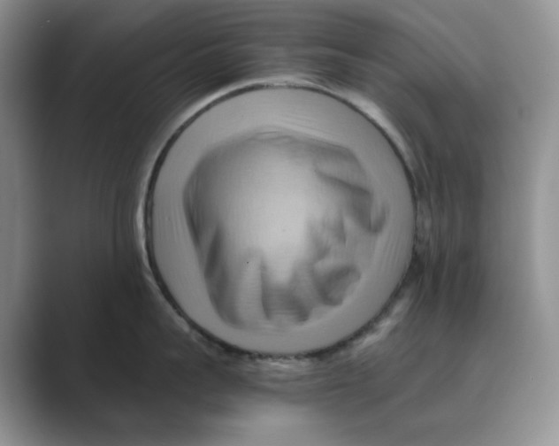 X0000088860959200707061048