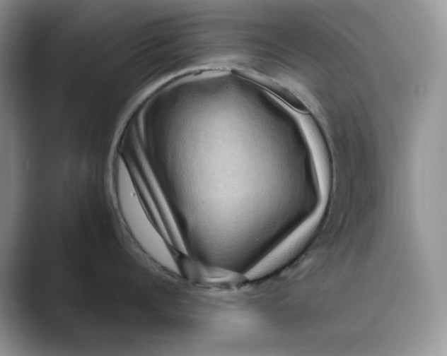 X0000088860960200707061048