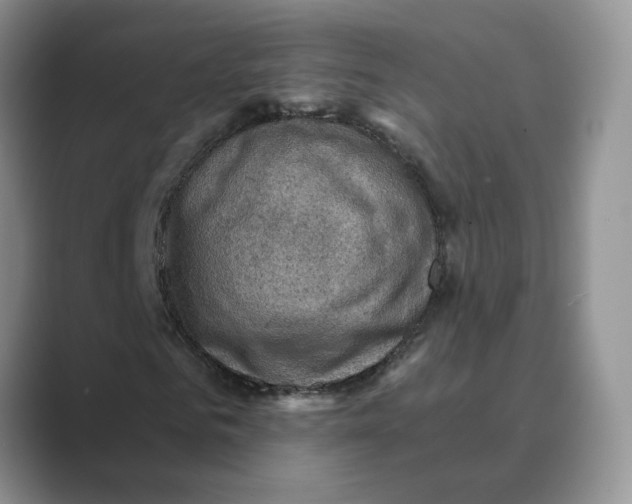 X0000088860961200707061048