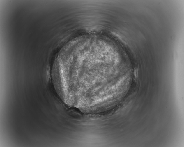 X0000088860963200707061048