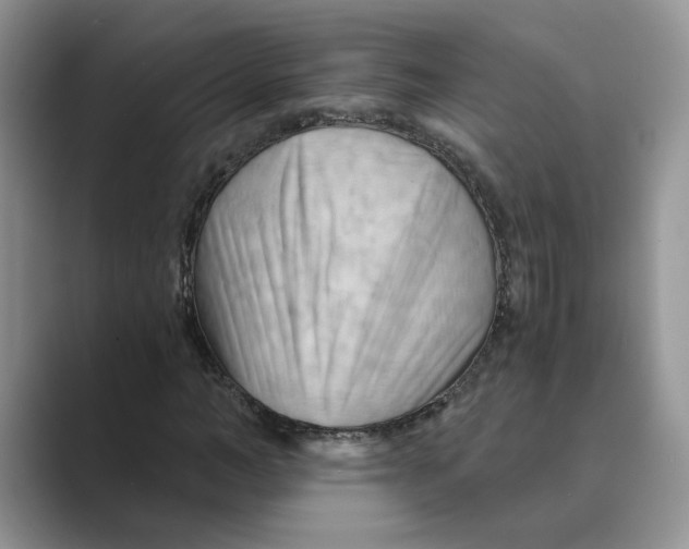 X0000088860966200707061048