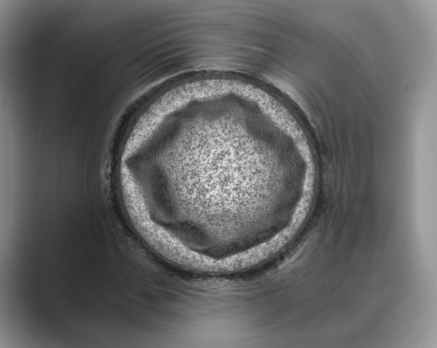 X0000088860971200707061048