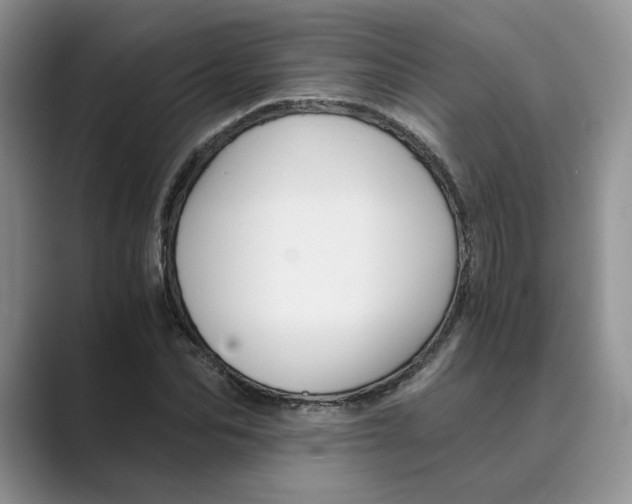 X0000088860974200707061048