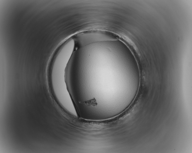 X0000088860981200707061048