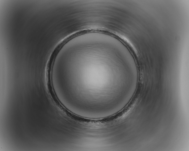 X0000088860983200707061048