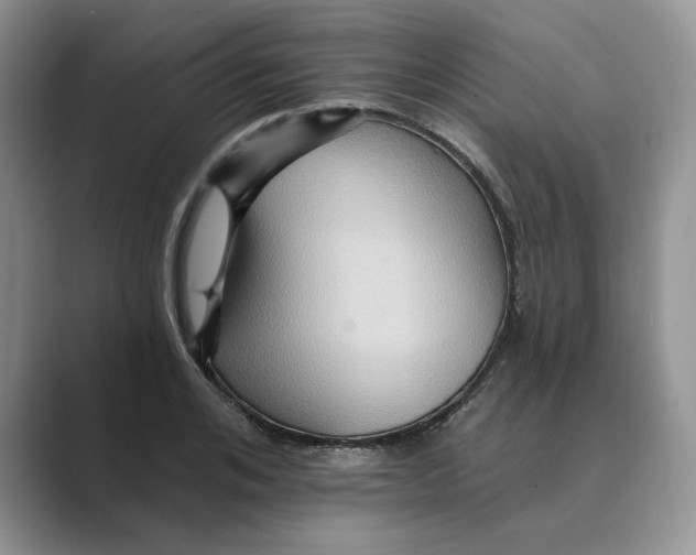 X0000088860984200707061048