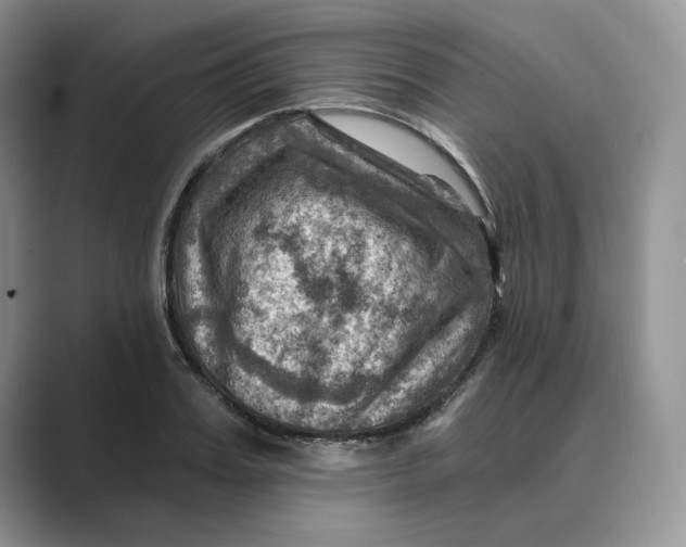 X0000088860987200707061048