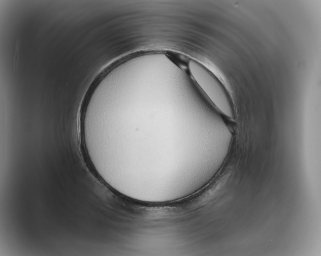 X0000088860988200707061048