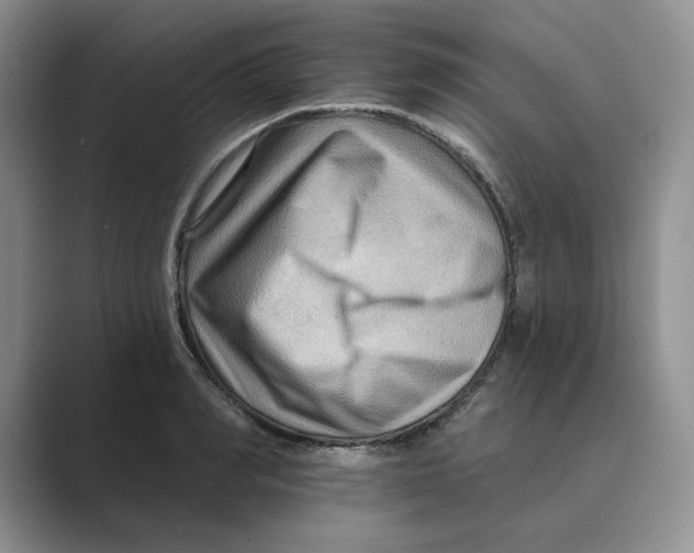 X0000088860990200707061048