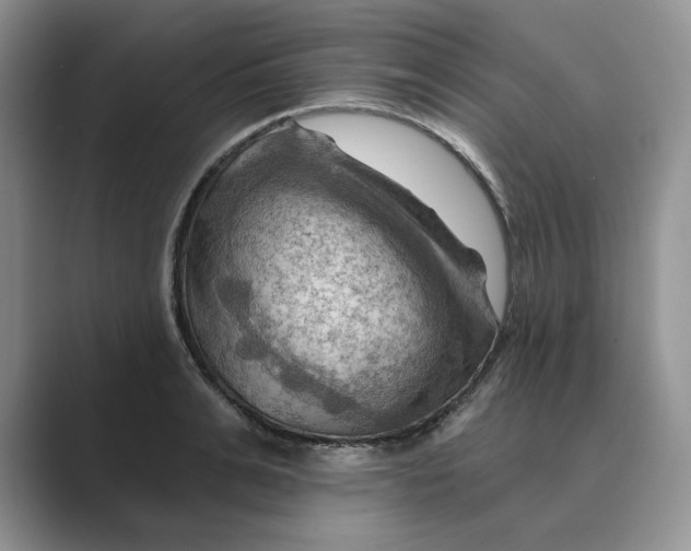 X0000088860991200707061047